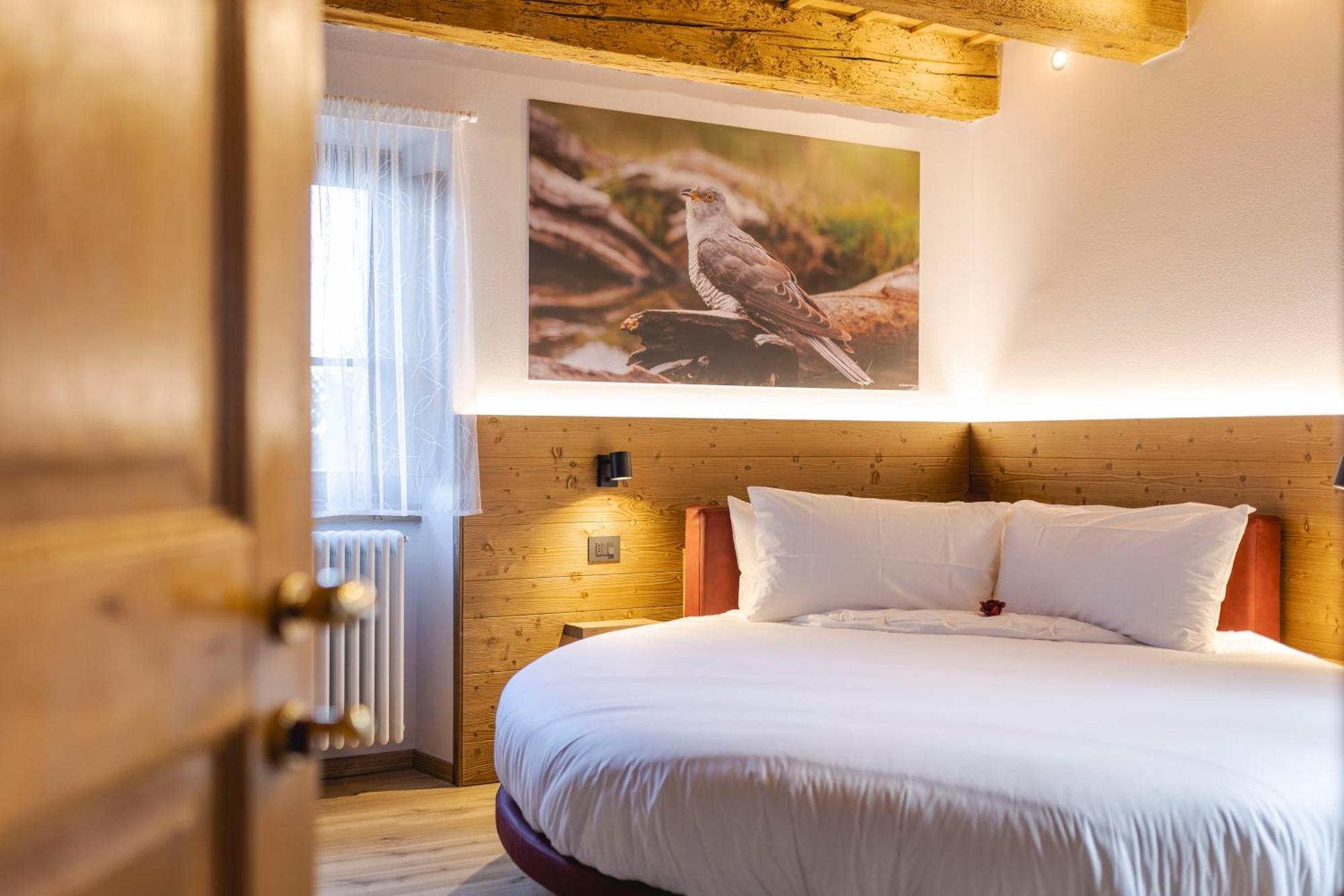 Granduca Mountain Wellness Apartments Campigna Bagian luar foto